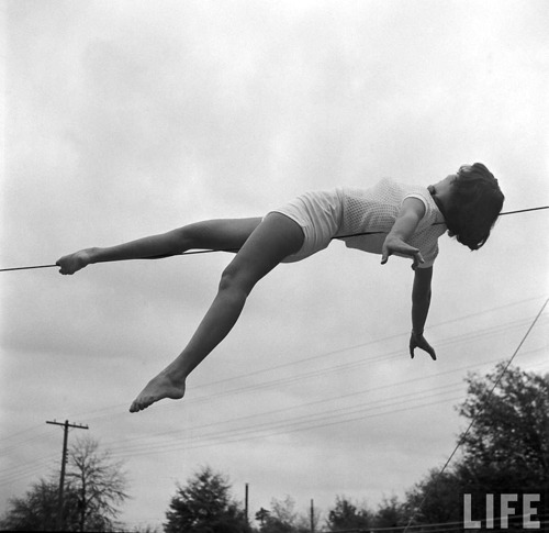 equilibrista